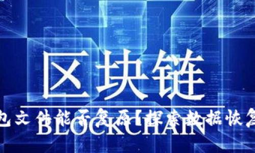 比特币钱包文件能否复原？探索数据恢复的可能性