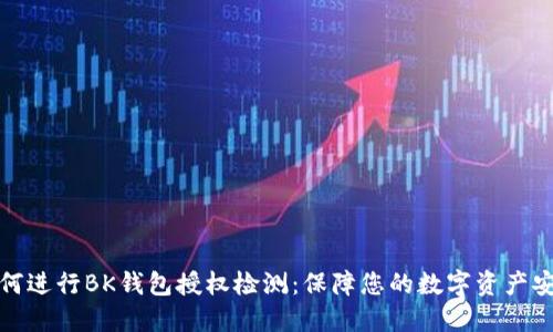 如何进行BK钱包授权检测：保障您的数字资产安全