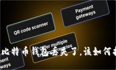 如果比特币钱包丢失了，该如何找回？