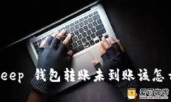 BitKeep 钱包转账未到账该怎么办？