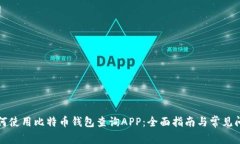 如何使用比特币钱包查询APP：全面指南与常见问