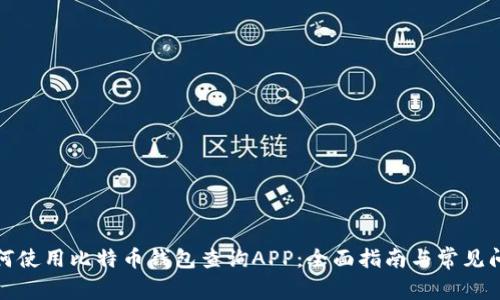 如何使用比特币钱包查询APP：全面指南与常见问题