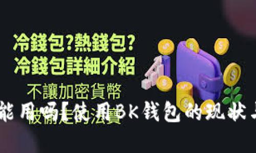 Bk钱包还能用吗？使用BK钱包的现状与未来展望
