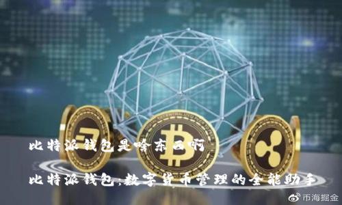 比特派钱包是啥东西啊

比特派钱包：数字货币管理的全能助手