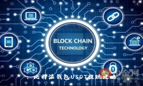 r
: 比特派钱包USDT提现攻略