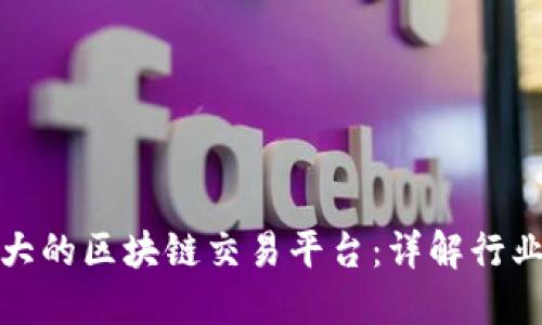 全球最大的区块链交易平台：详解行业领军者