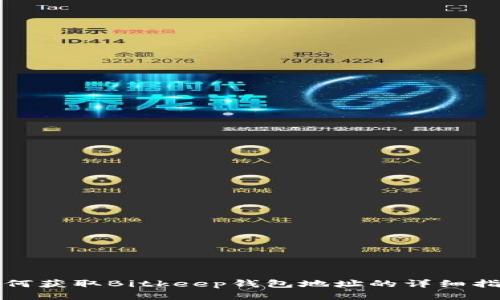 如何获取Bitkeep钱包地址的详细指南